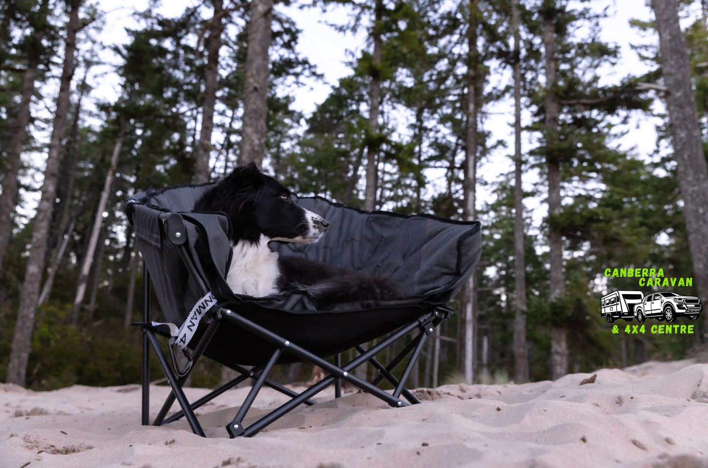 The Pet Lounger Sofa Bed (Quick Fold)