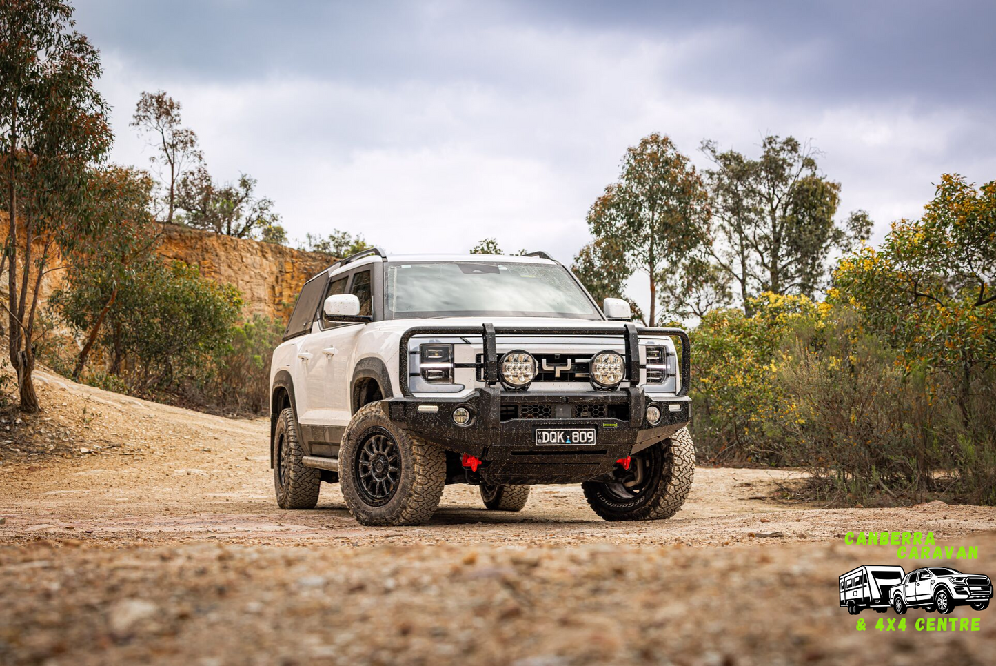 BYD Shark Deluxe Bull Bar