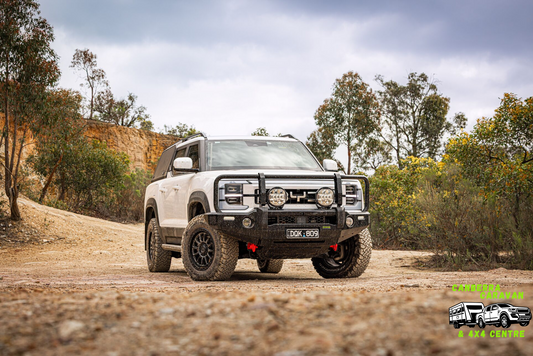 BYD Shark Deluxe Bull Bar