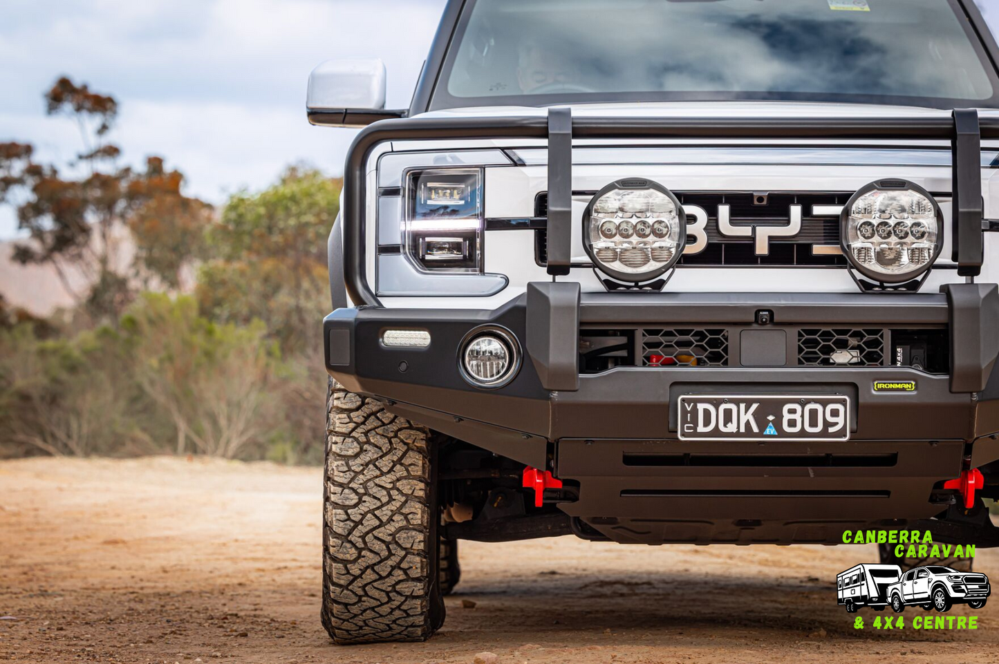 BYD Shark Deluxe Bull Bar