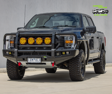 APEX Bull Bar & Lights Kit F-150