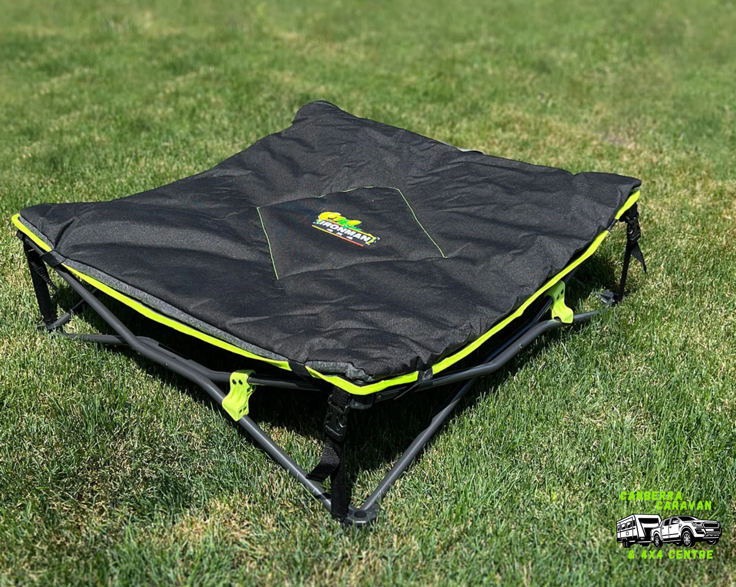 Quick Fold Dog Bed (Large, Padded)