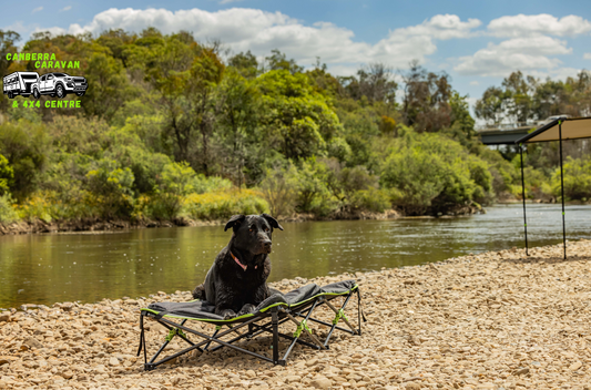 Quick Fold Dog Bed (X-Large, Padded)