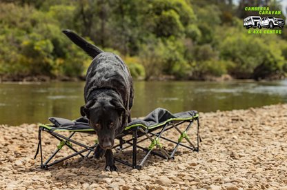 Quick Fold Dog Bed (X-Large, Padded)