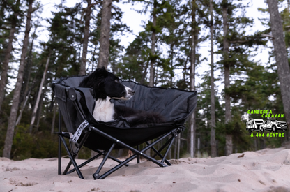 The Pet Lounger Sofa Bed (Quick Fold)