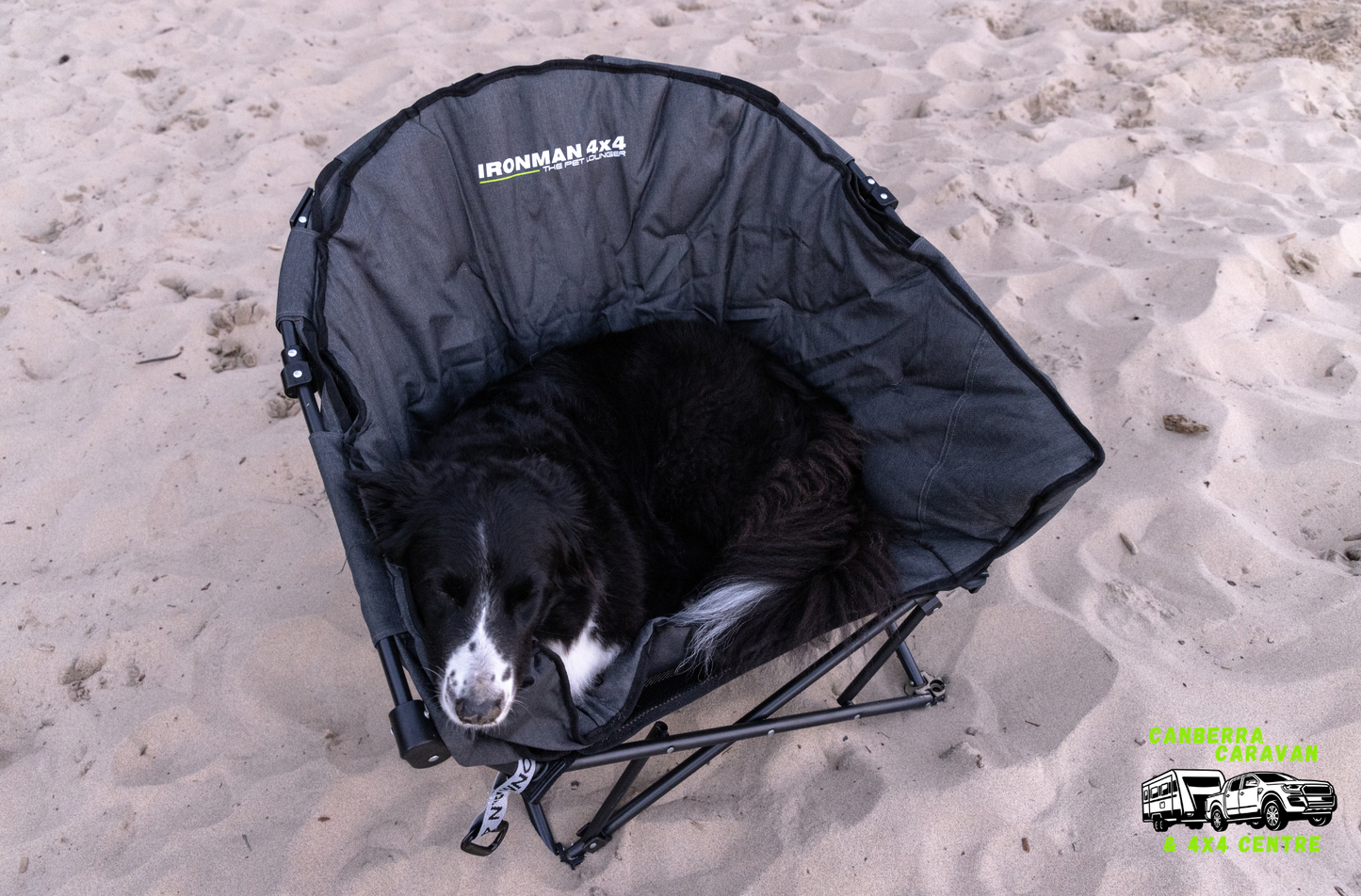 The Pet Lounger Sofa Bed (Quick Fold)