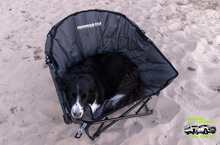 The Pet Lounger Sofa Bed (Quick Fold)