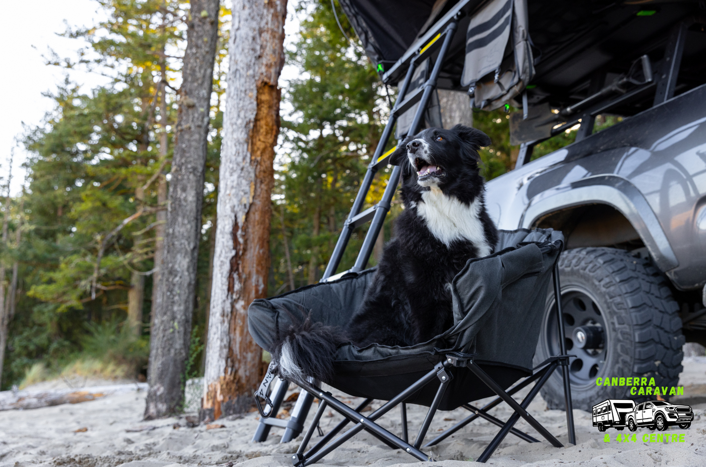 The Pet Lounger Sofa Bed (Quick Fold)