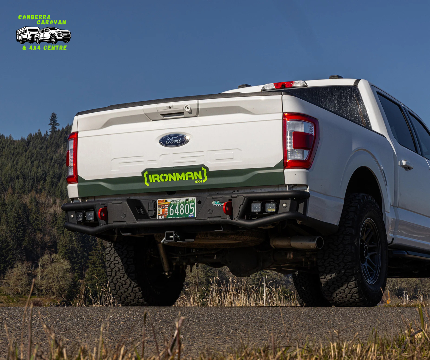 Rear Protection Tow Bar F150